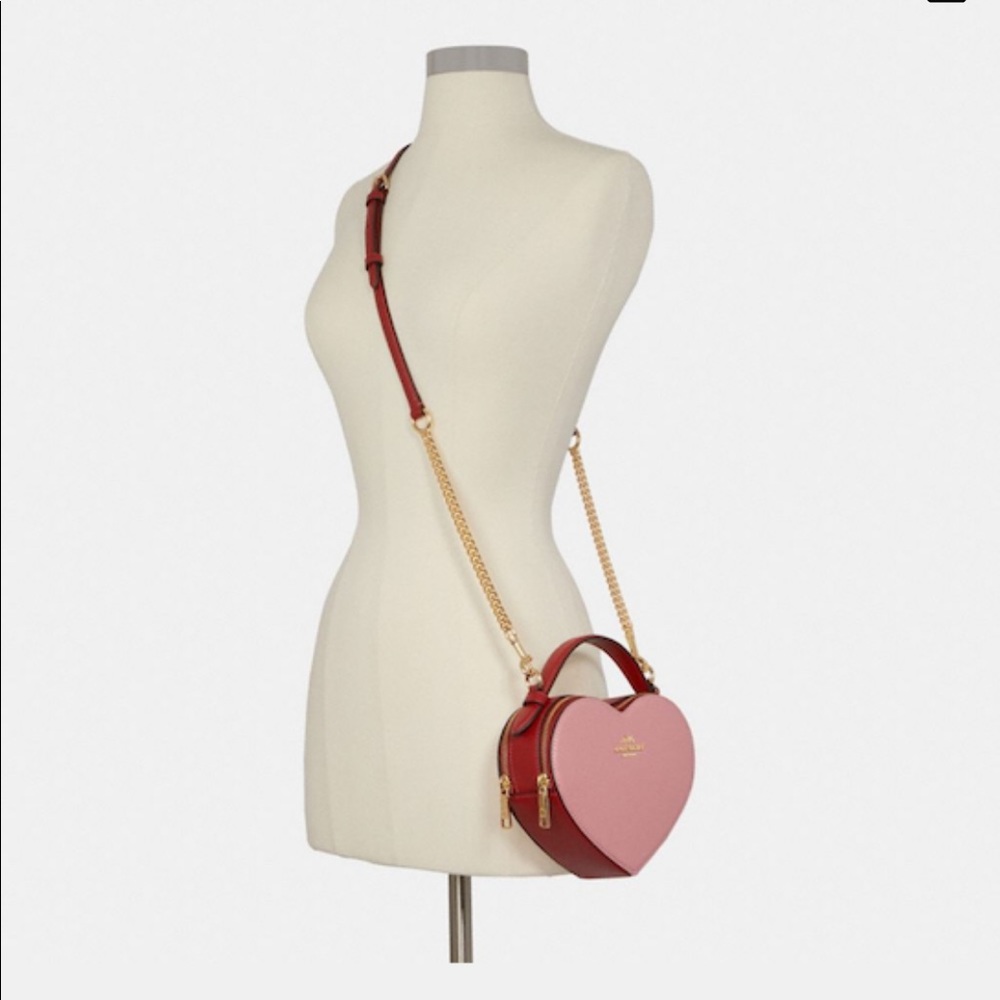 Coach Heart Crossbody in Colorblock - Picture 5 of 11